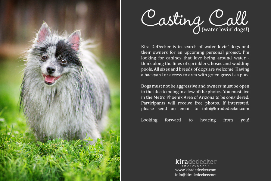 Pet Photography Casting Call