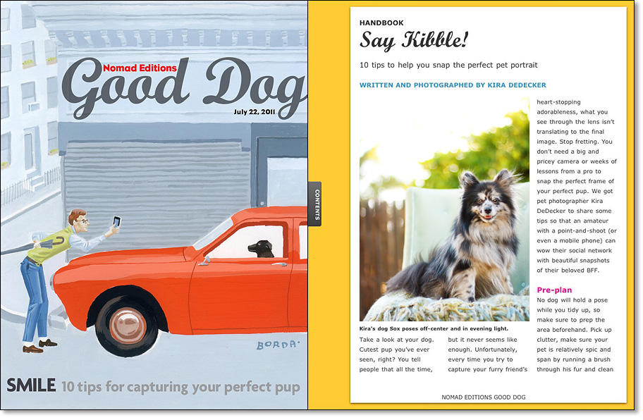 KDP-Nomad-Editions-Good-Dog-Feature