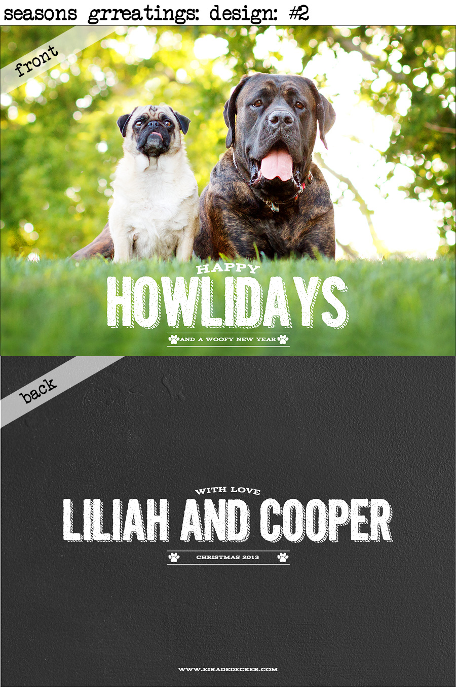 PetPhotography-Holday-Cards-02alt