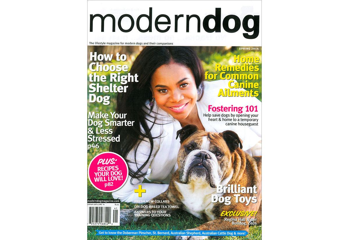 Modern Dog Magazine Phoenix Arizona Pet Photography 01
