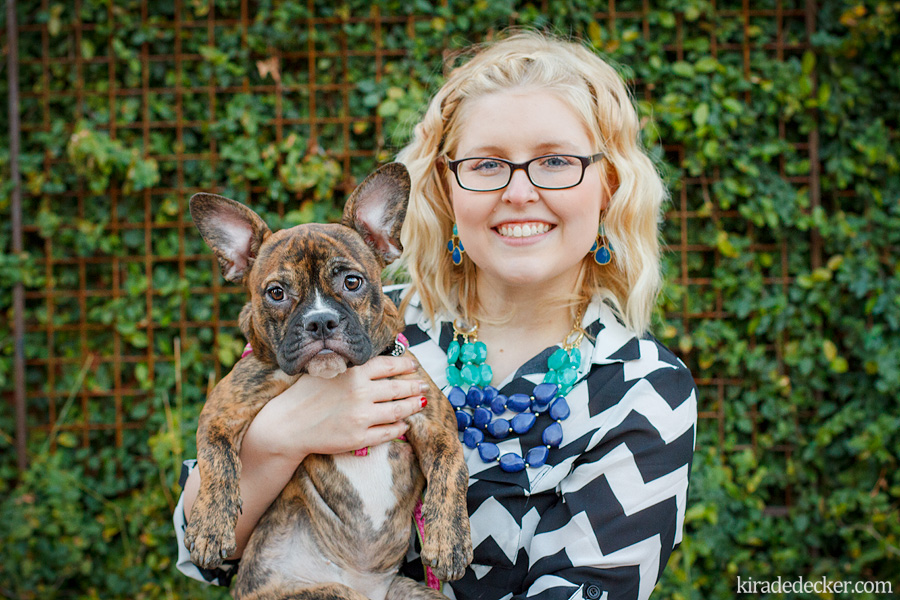 Frenchton Puppies Phoenix Arizona Pet Photography 06