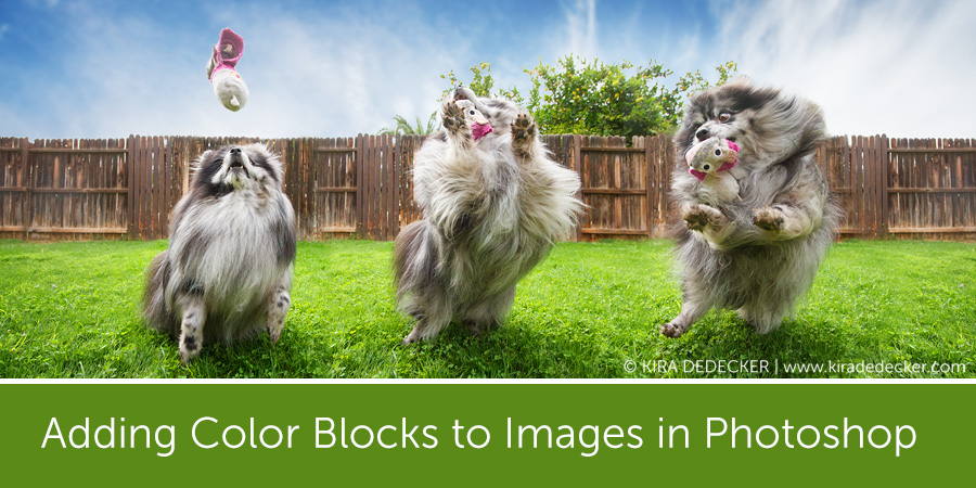 Adding-Color-Blocks-to-Images-in-Photoshop