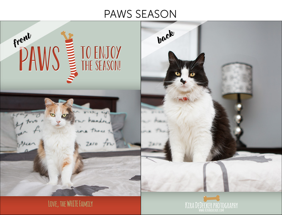 Holiday Pet Cards 03