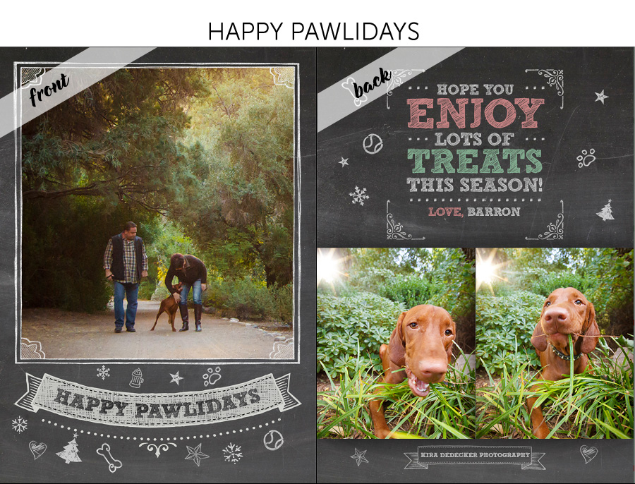 Holiday Pet Cards 05