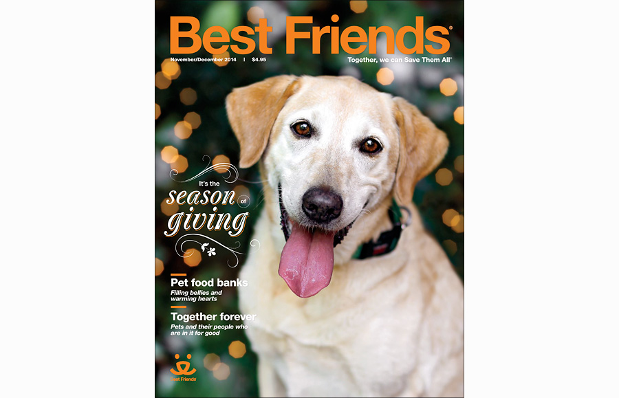 Phoenix AZ Pet Photography Best Friends Magazine Cover