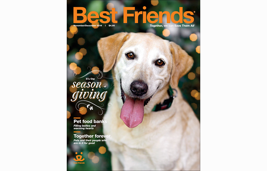 Best Friends Magazine Nov/Dec 2014 | Kira DeDecker Photography – Phoenix Arizona Best Friends Magazine Nov/Dec 2014 | Kira DeDecker Photography – Phoenix Arizona