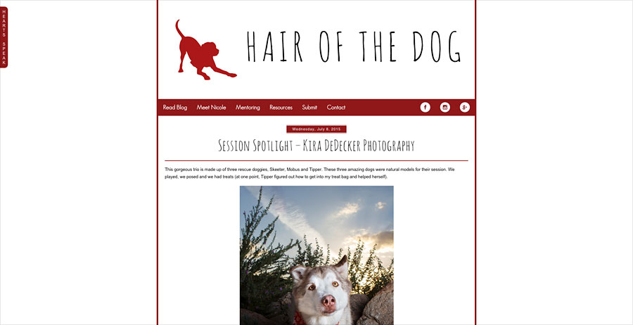 Hair of the Dog Feature Pet Photography
