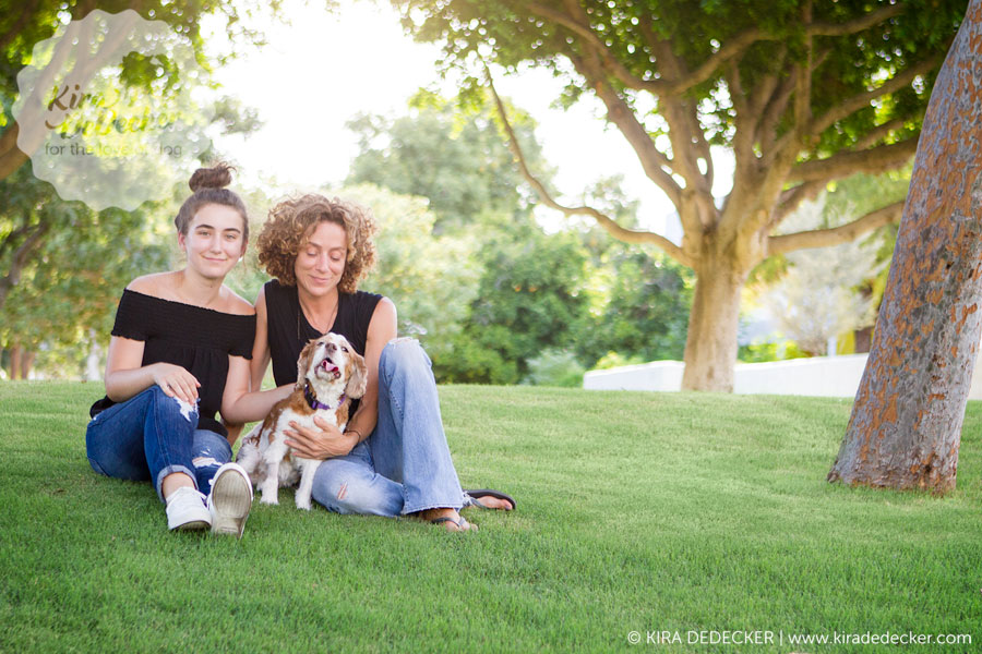 Cavalier Pet Photography Session in Scottsdale AZ 02