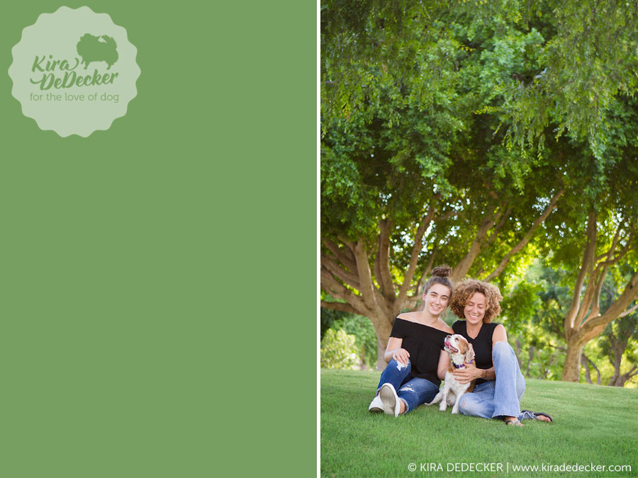 Cavalier Pet Photography Session in Scottsdale AZ 03