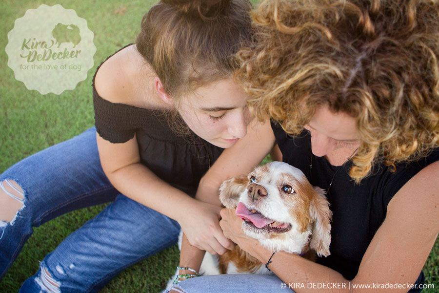 Cavalier Pet Photography Session in Scottsdale AZ 04